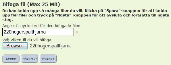 m) Välj vilken mapp du vill spara innehållet i. I övningen väljer du mappen Bilder under din webbplats och klicka på Nästa.