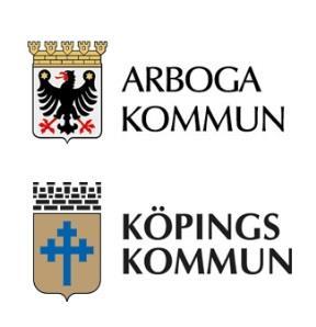 REGIONER/LANDSTING 4 AV 5 MYNDIGHETER Övriga system 63% 100% Övriga system 80% Raindance