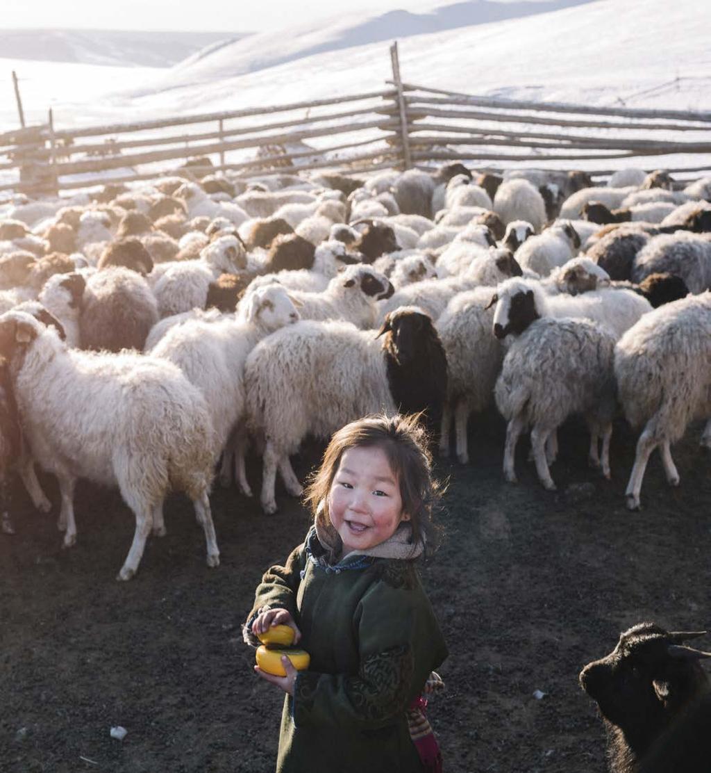 Röda Korset hjälper familjer i Mongoliet med kontantstöd. Många människor lever på boskap och tack vare stödet kan de bland annat köpa hö så att djuren inte svälter.