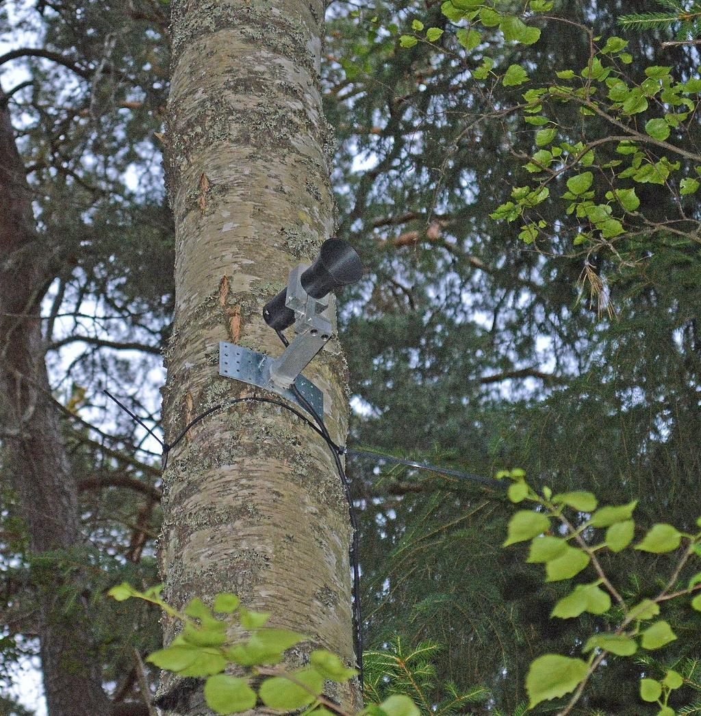 Figur 4. Mikrofoner placerades på ca 5 meters höjd på två platser ute i skogen.