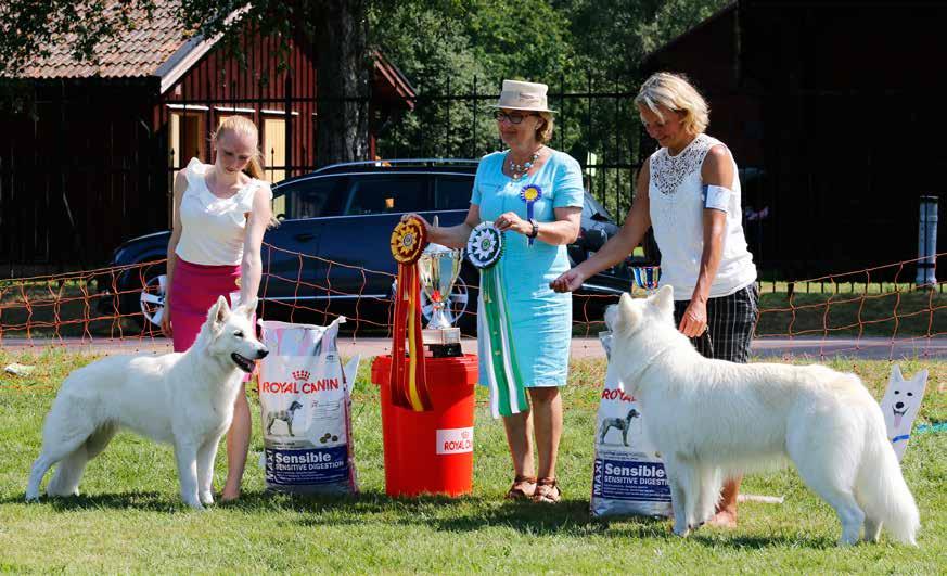 Rasspecial 2014 Ransäter bjöd på stekhett väder när årets Rasspecial gick av stapeln.
