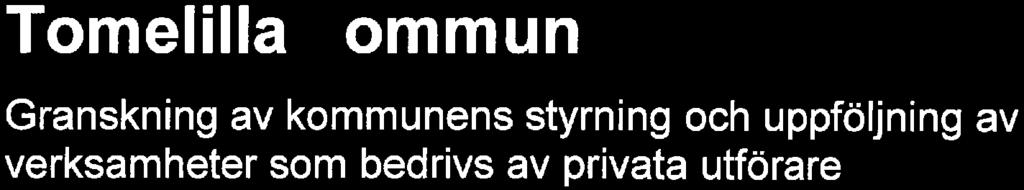Revisionsrapport 2018