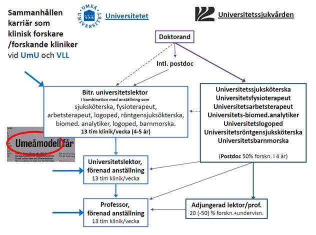 8. Adjungerad lektor/professor Villkor som tidigare, men behovet av adjungerade lektorer kommer att minska i och med införandet av universitetsöverläkare enligt punkten 7.