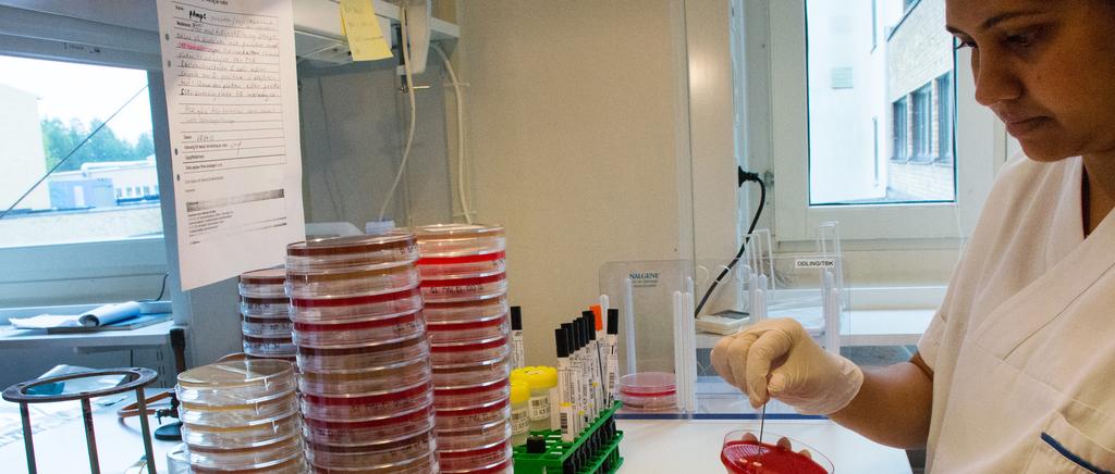 Fördelning av basenhetens ettåriga Alf-projektmedel (26) och treåriga centrala Alf-projektmedel (2628) mellan forskningsområden, som tilldelats under året, presenteras i tabell 5.