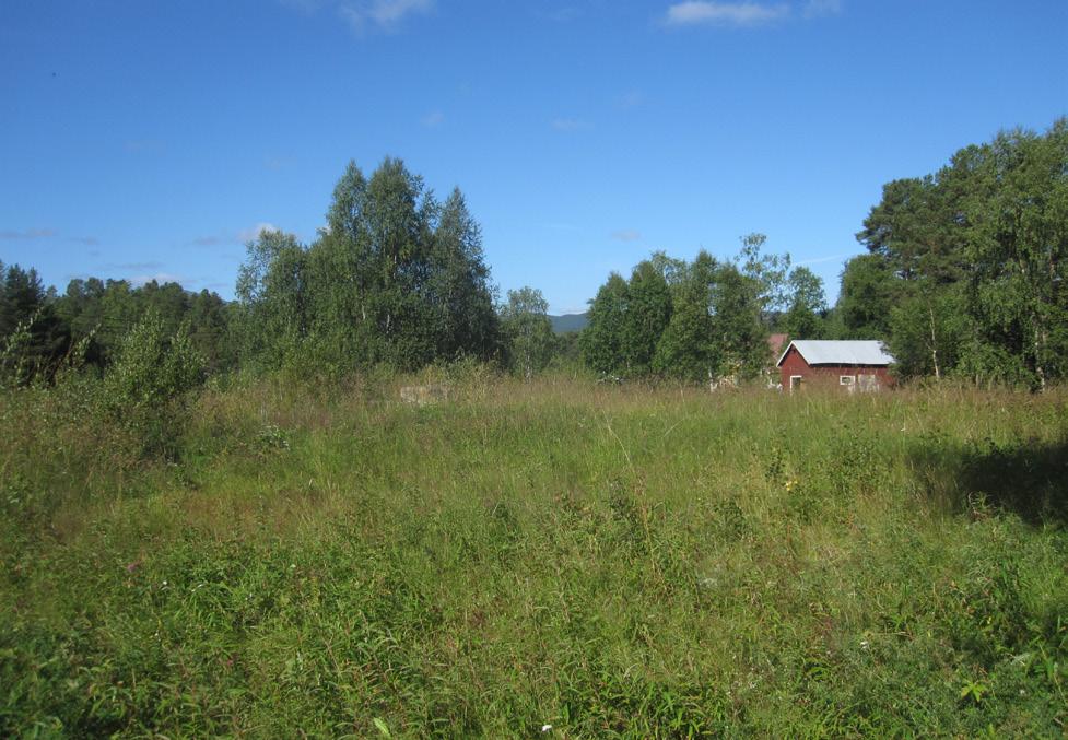 med Funäsdalsberget i bakgrunden