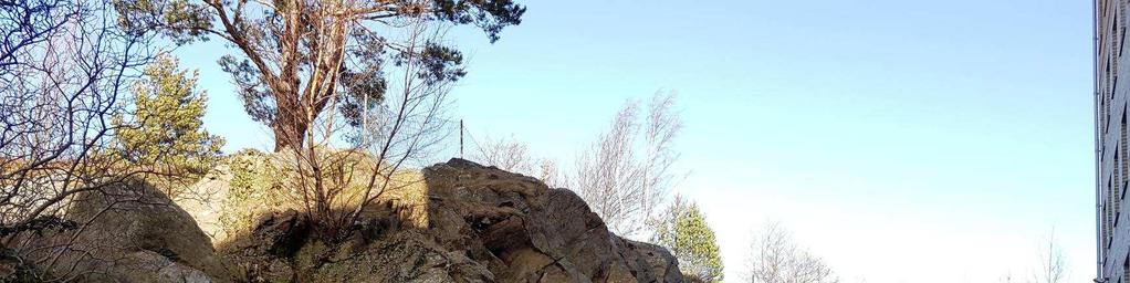 Bergteknisk