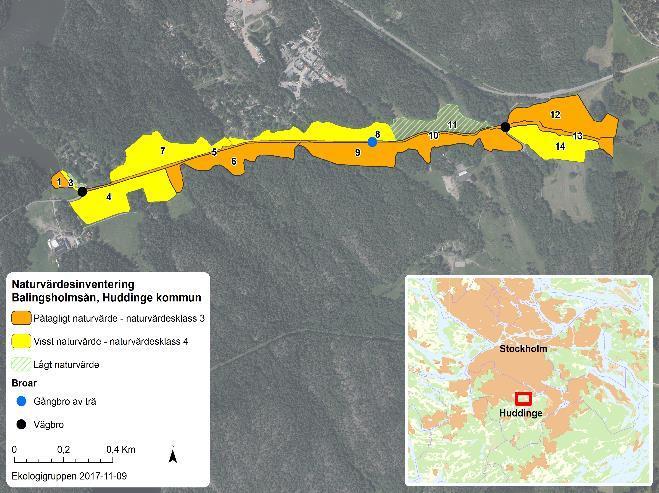 Balingsholmsån Ersätt Ersätt med med sidhuvud Vattenverksamhet sidhuvud - MKB 7 Natur- och vattenmiljö Naturvärdena i Balingsholmsdalgången som påverkas av åtgärderna för vattenverksamhet finns dels
