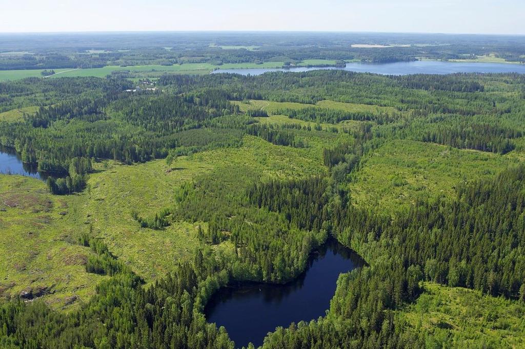2. Definition av nyckelbegrepp Kantzon definieras som området intill en vattenförekomst, inklusive strandbanken, som påverkar vattenförekomstens ekologi, hydrologi eller kemi.