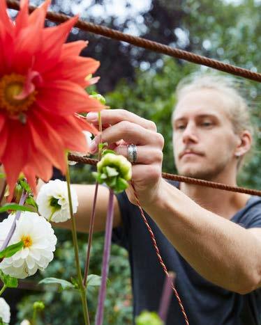 Regeringsuppdraget Tillväxtverket ska identifiera och genomföra insatser som bidrar till att stimulera tillväxt hos sociala företag och stärka utvecklingen av och kunskapen om sociala entreprenörer
