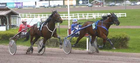 nyhetsbörsen maj2016 160516 Stalldubbel på hemmaplan Stall Kajsa Frick noterades för två segrar på Rättvikstravet ikväll. Baretime och Zorento d Amour hette hemmatränarens segervapen.