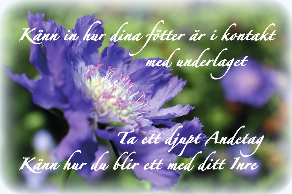 VEM ÄR JAG I MITT HJÄRTA Sätt dig ner i en värdig hållning och ta ett djupt andetag Sitt ensam för dig själv och slut dina ögon och följ din andning Om
