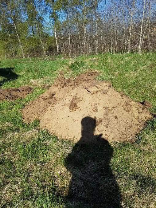 Dokumentation av