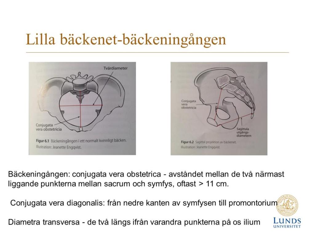 . I verkligheten bryr man sig inte om dessa mått om barnet ligger i huvudbjudning.