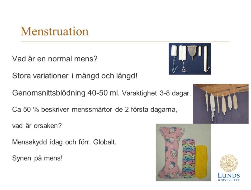 strukturellt i livmoderslemhinnan urskilja två lager: basala, som är i stort sett oförändrad under hela livet, och funktionella, som förkastas i varje menstruationscykel.