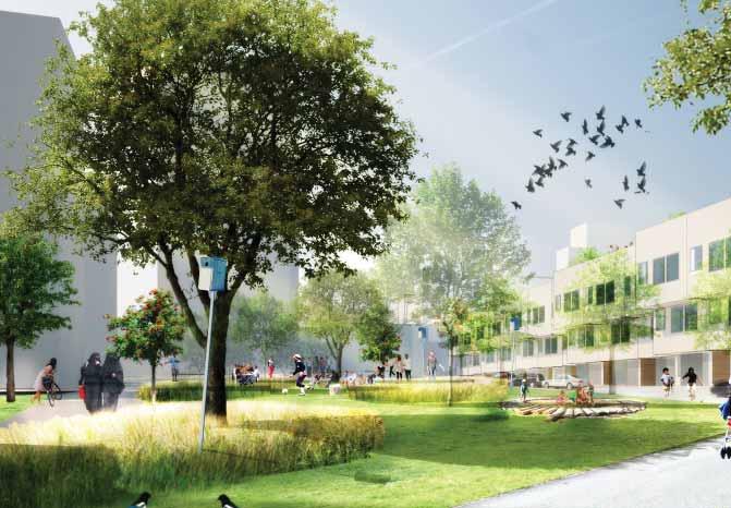 Mötesplatser Alby torg vid centrum Torget är Albys mest offentliga plats och här ska det finnas uteserveringar, torghandel, evenemang