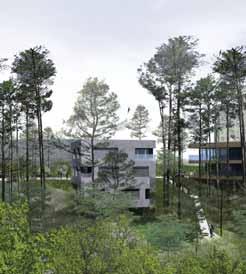 Parkens belysning ska vara inbjudande. Gestaltningen av parken ska återspegla de cirkelformade strukturerna på berget.