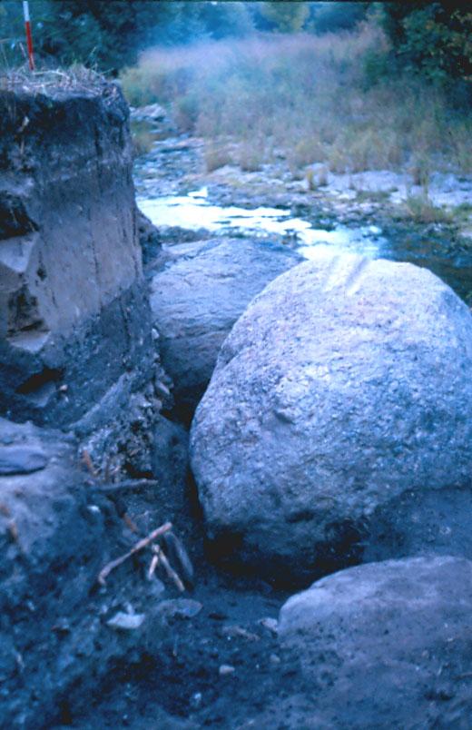 Fig. 28 Hörsne Dibjärs VI I. Två block med slipskåror spolades fram vid en kraftig vårflod 1985. Gotlandskarta med slipskåror De slipskåror som ligger på eller intill ursprunglig plats har tagits med.