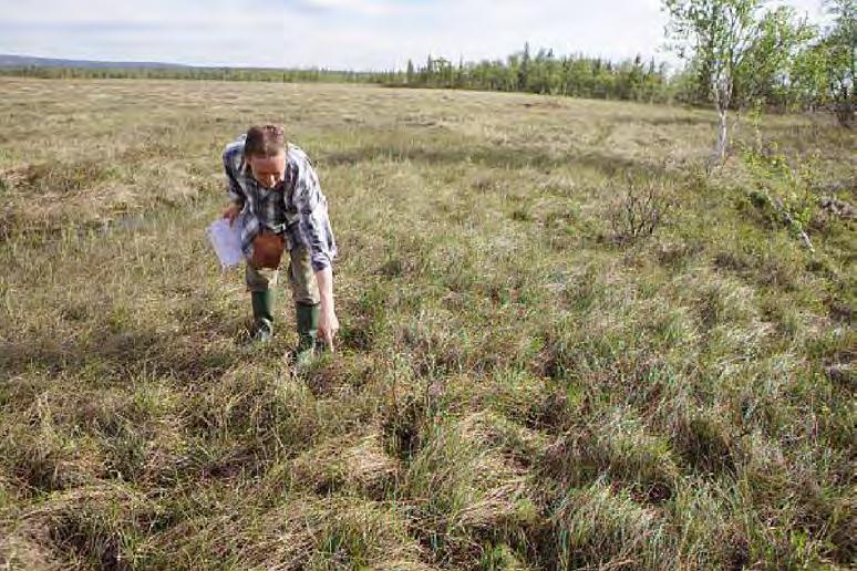 Svartvit flugsnappare. Sammanlagt elva observationer speglar på intet sätt artens faktiska förekomst. Talgoxe. Summa åtta observationer, se i övrigt föregående art. Blåmes. En observation från 2000.