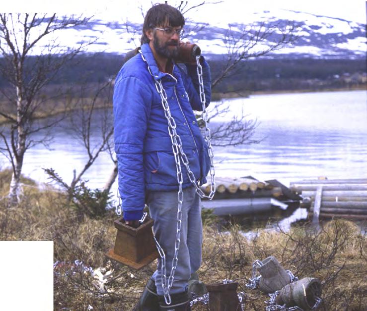 1989 gjorde vi ett utsläpp av unga sädgäss vid Båttjärn i Handöl i ett försök att
