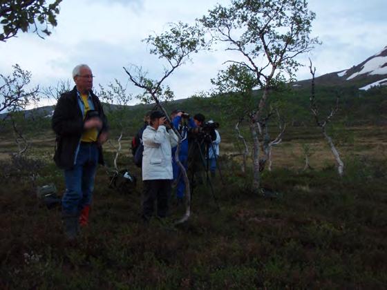 Ånnsjödagen 2008 Hanna Eriksson Med lysande vårväder genomfördes Ånnsjödagen, den numera årligen återkommande fågelskådardagen vid Ånnsjön, den 7 juni 2008.