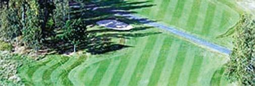 Lawnmaster Golf Lawnmaster finns även i golfutförande.