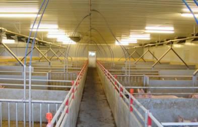 Bilaga till förprövning Foder och inredning 8 sektioner á 48 stier. 1 Sektion á 12 stier.. Clean-O-Flex er en fleksibel løsning for slagtesvin.