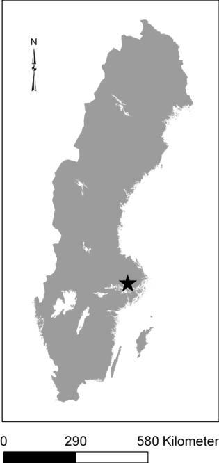 2. Bakgrund 2.1. Sigtunas utveckling Sigtuna är den äldsta staden i det medeltida Sverige.