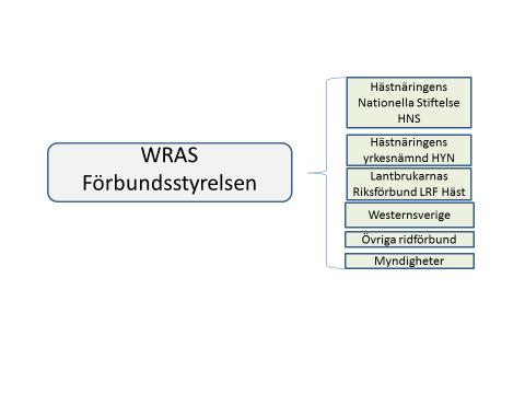 Sidan 7 av 12 Förbundsstyrelsen ska ansvara för kontakten och kommunikationen med övriga hästorganisationer som HNS, HYN