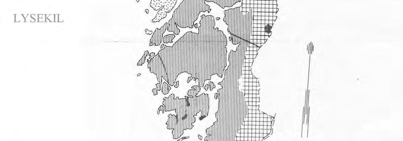 Ströman tecknade även under 1870-talet arrende med flera gårdsägare i Bottna och Svenneby.