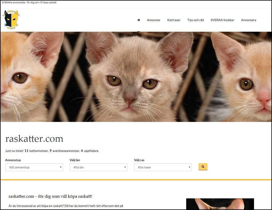 raskatter.com Observera!
