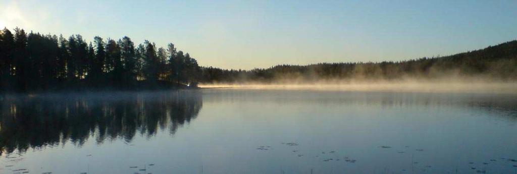 ONSDAG 11 OKTOBER DYSBODARNA NORRA Pass 30. Nordlig vind. Mulet och någon regndroppe. +4 o C. Idag är det åter lovligt att skjuta tvåkalvsekipage.