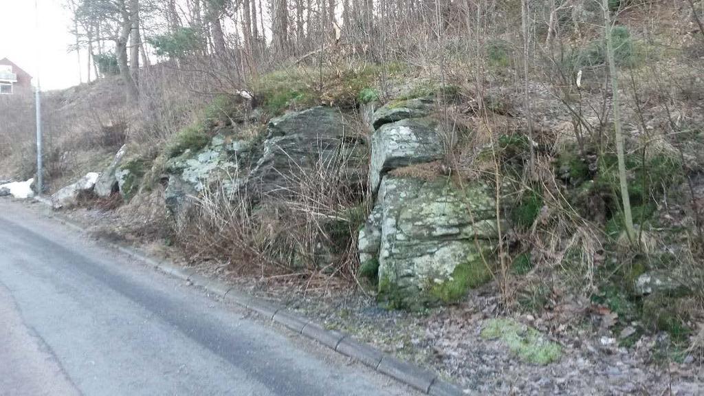 En okulär besiktning har utförts av området. Utmed Hallegårdsvägen finns flera bergskärningar, se Foto 2.