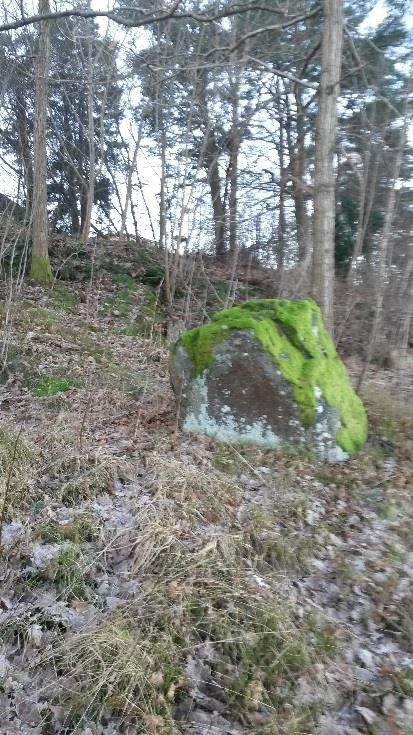 Foto 3. Stabilt block i östra delen av området.