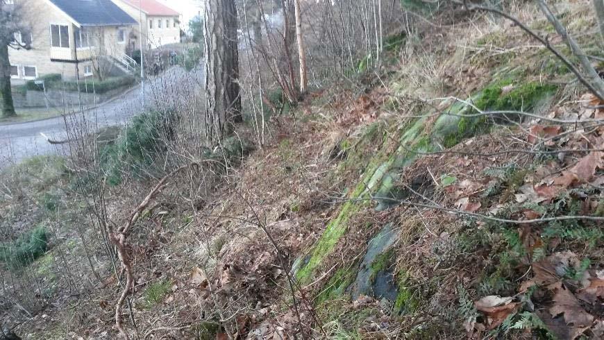Foto 4 Blottat berg i väster.
