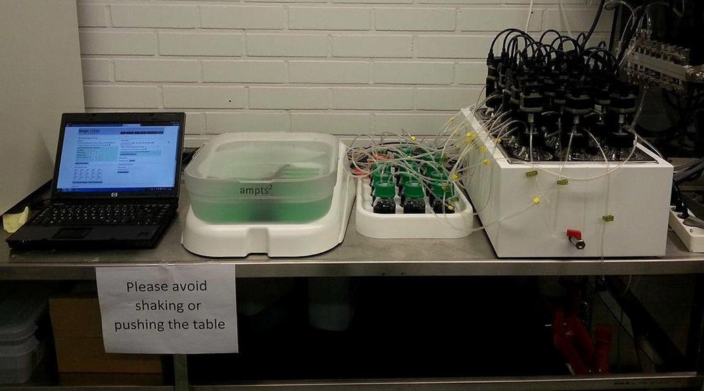 BMP-test