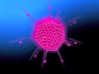 Adenovirus i feces 2017 Adenovirus generellt räknas som ett endemiskt virus som alltid cirkulerar i samhället.