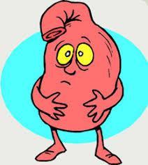 1. Alla adenovirus ger upphov till gastroenterit 2.