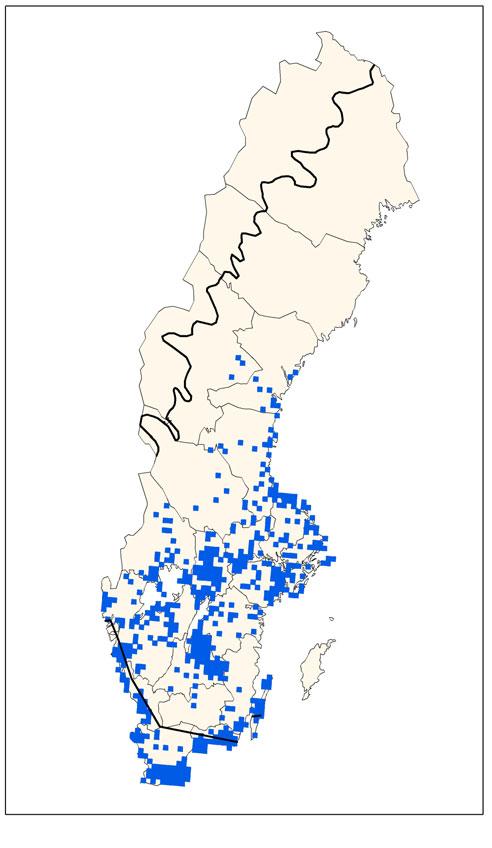 pdf#12 Hotbild Habitatförstöring genom ändrad hydrologi. Många leklokaler försvinner genom igenläggning av dammar, dikning och dränering. Arten är känslig för avverkning av gammal lövdominerad skog.