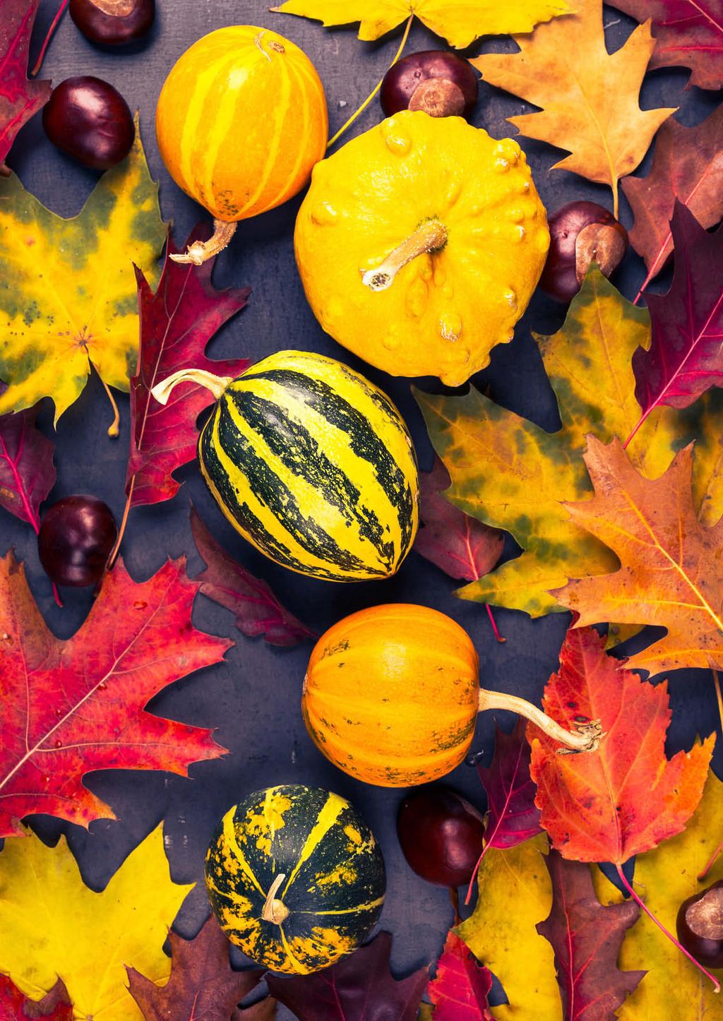 Medlemsinfo 3 2018 Oktober BILD: ISTOCK KT har förbundit sig att delta i