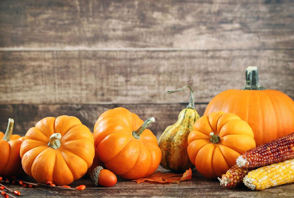 3 / 2017 MEDLEMSINFO NOVEMBER BILD: ISTOCK De första avtalen är klara sidan 1 Mot avtalsförhandlingar med den nya verksamhetsledaren sidan 2 Den kommande förhandlingsomgången sidan 2 Beredskap är en