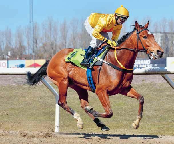 DERBYBANAN JÄGERSRO NR 26 SÖNDAG 9 DECEMBER 2018 KL 12.45 JÄGERSRO GALOPP Säsongsfinal - tack för i år!