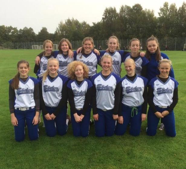 Verksamhetsberättelse för Söder Softboll 2016-01-01 2016-12-31 Höjdpunkter