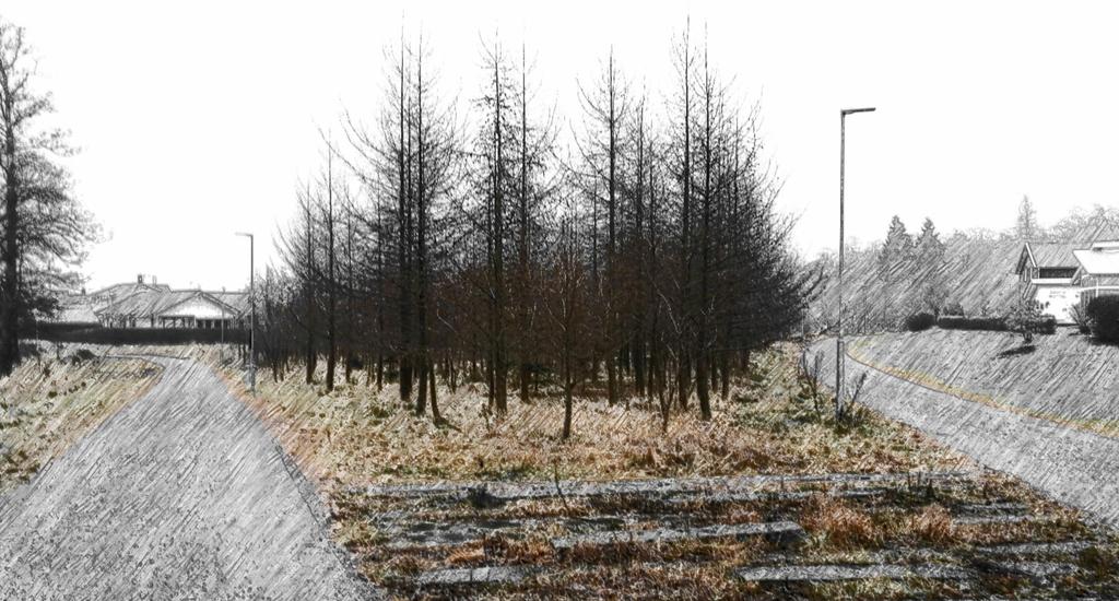 Fakulteten för landskapsarkitektur, trädgårdsoch växtproduktionsvetenskap Utvecklings- och skötselplan för Japanska lärkskogen ett
