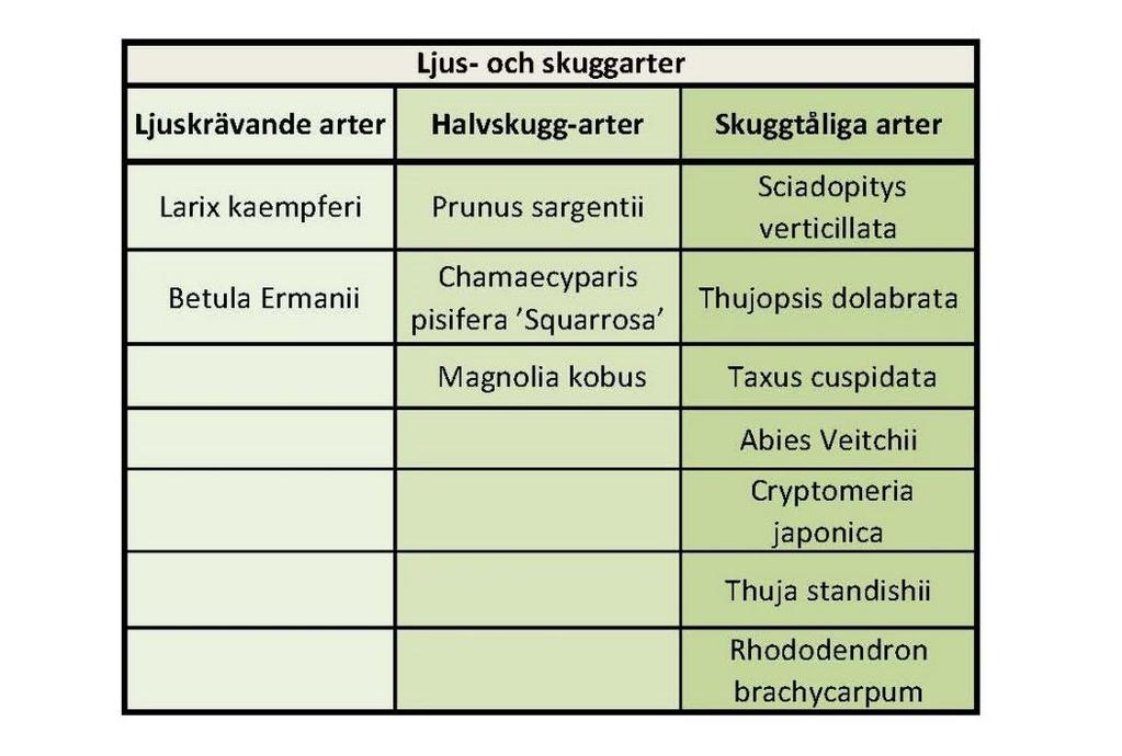 Succession Inom ekologin har ordet succession betydelsen: hur artsammansättningen på en plats förändras över tid.
