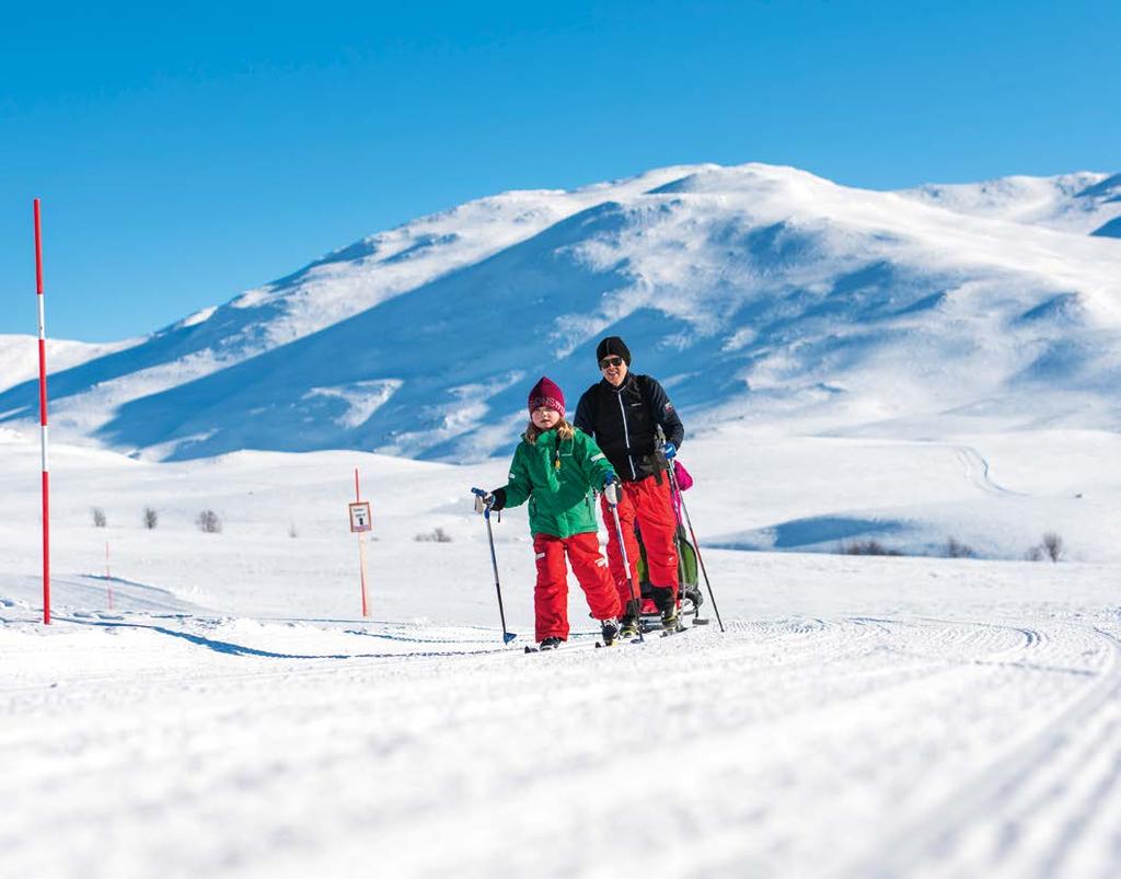 Bilen i Hemavan och Tärnaby Resa hit: Antingen med flyg som landar i princip mitt i Hemavan med gångavstånd till byn.