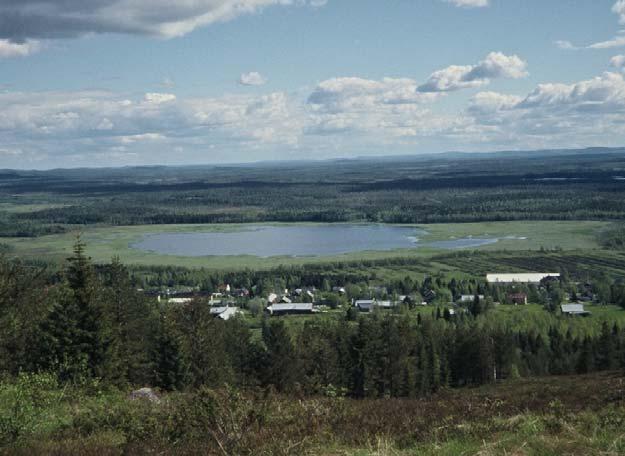 Dokumentation och uppföljning av våtmarksprojekt en idésamling Du tänker lägga tid och pengar på att skapa en våtmark eller förbättra en våtmark som redan finns.