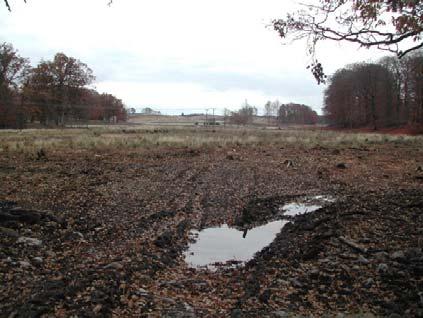 Tips 4. Skaffa bildbevis En bild säger mer än tusen ord. En film kan säga mer än tusen bilder.