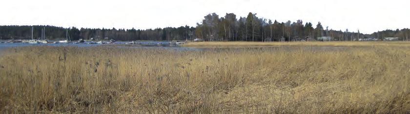 5.5 Störande faktorer i miljön Områdets läge vid Finska vikens strand 0.8-3.2 meter över havet förutsä er beaktande av översvämningsrisken när man planerar och bygger området.