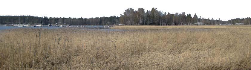 4.4.2 Mål som grundar sig på utgångsmaterialet Mål som ställts av markägaren Markägarens mål är a öka byggandet delvis genom a utöka våningsantalet med en våning, delvis genom omorganisering av