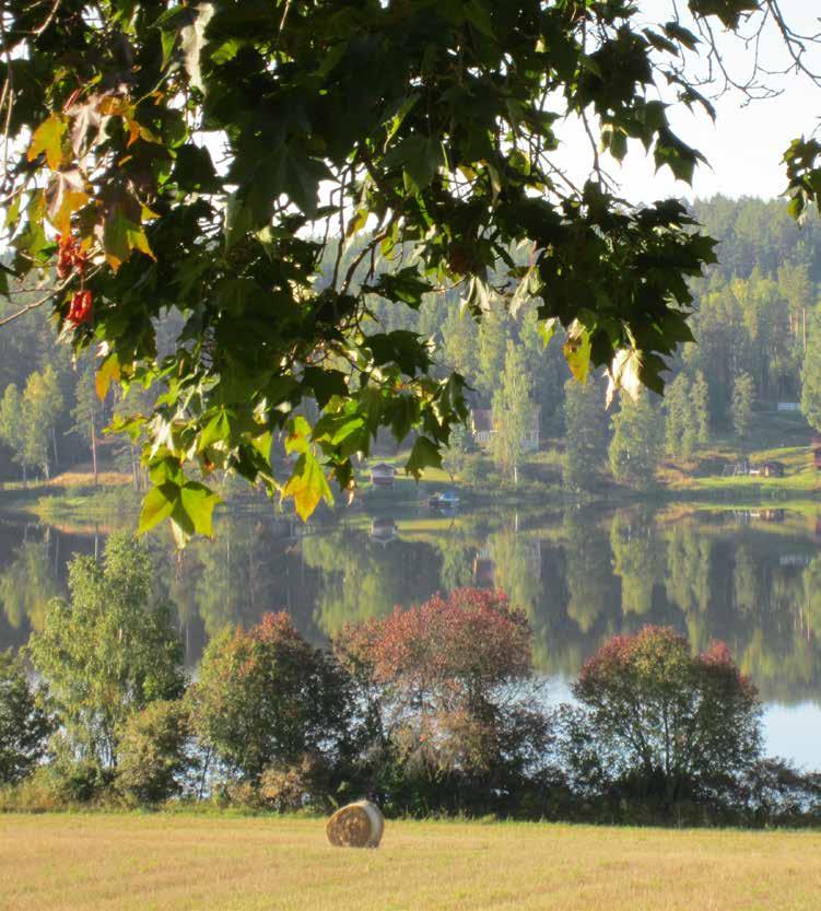 Vi har goda övernattningsmöjligheter med 17 fasta sängplatser. Sänglinne kan hyras eller medtagas. Liljans Herrgård är handikappanpassad med hiss, handikapptoaletter och duschar m m.